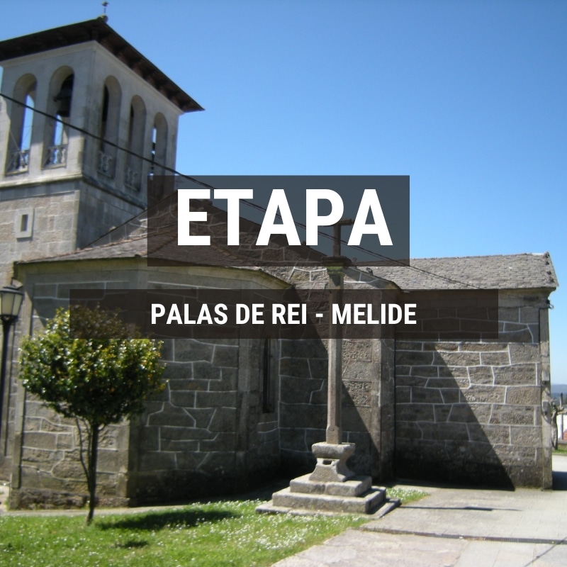 Etapa Palas de Rei – Melide